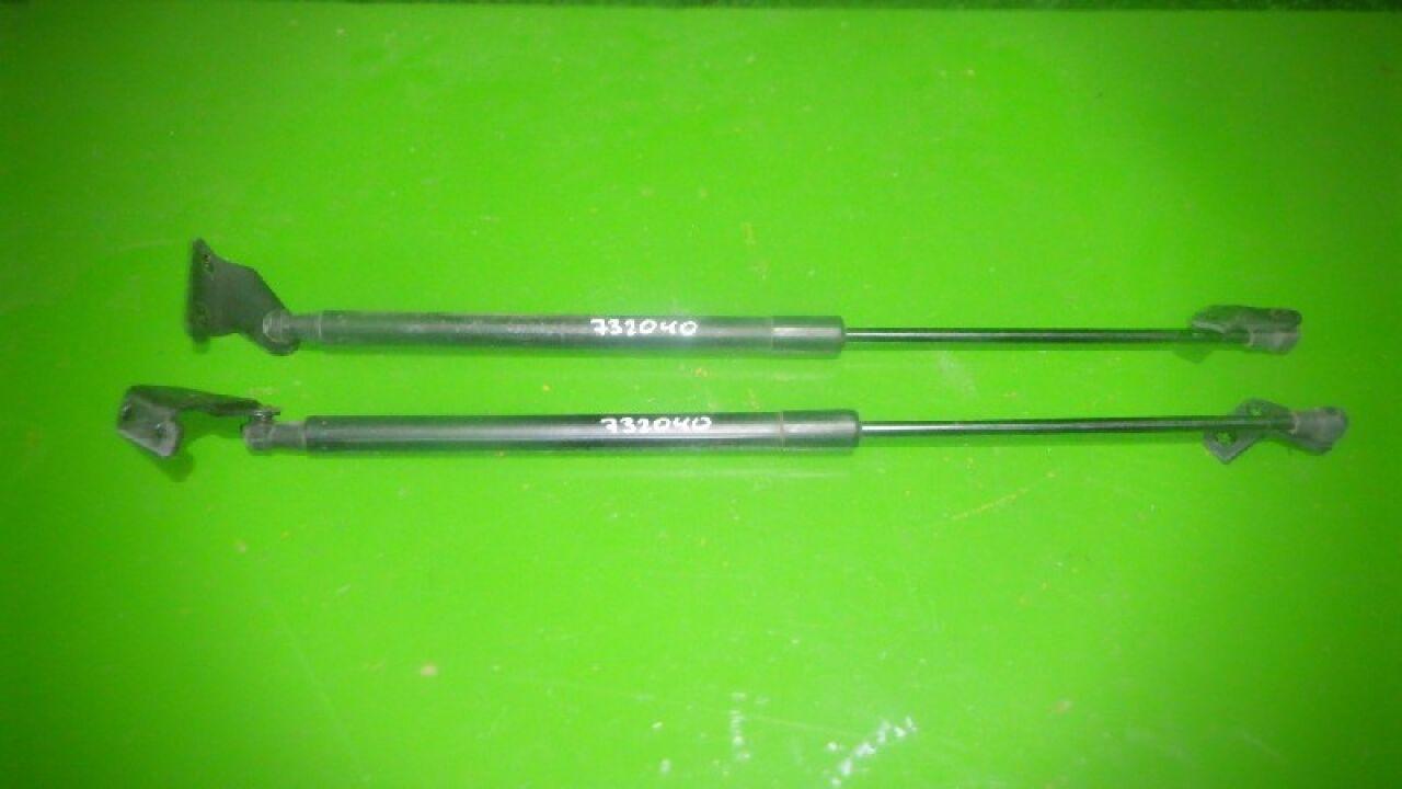 Амортизатор задней двери задний NISSAN DUALIS, QASHQAI J10, KJ10, KNJ10, NJ10 MR20, HR16, K9K, M9R - 1 ракурс