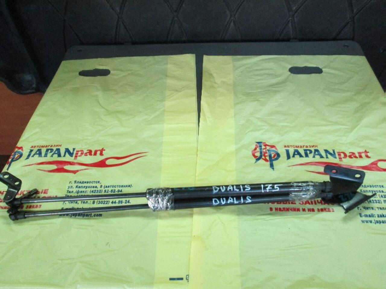 Амортизатор задней двери NISSAN DUALIS J10E - 1 ракурс