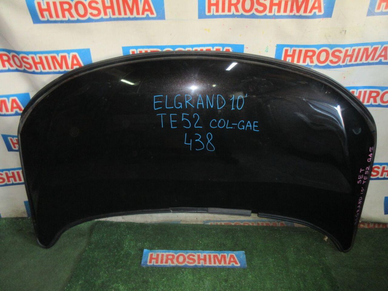 Капот NISSAN ELGRAND TE52 1 ракурс