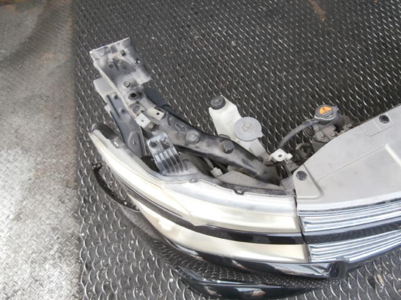 Nose cut NISSAN ELGRAND TE52 QR25DE 100-23008 XENON 5 ракурс