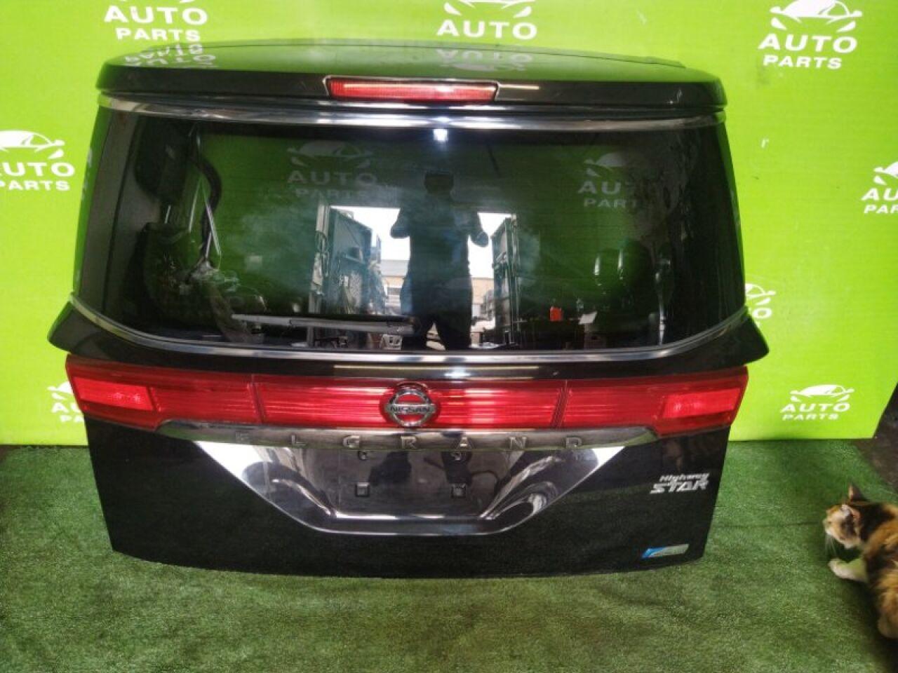 Дверь 5-я задняя NISSAN ELGRAND TE52 QR25DE 1 ракурс