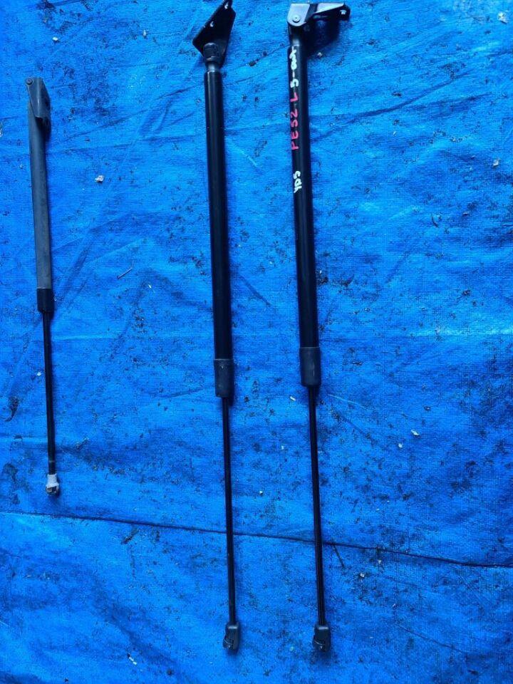 Амортизатор задней двери NISSAN ELGRAND PE52 PARA 1 ракурс