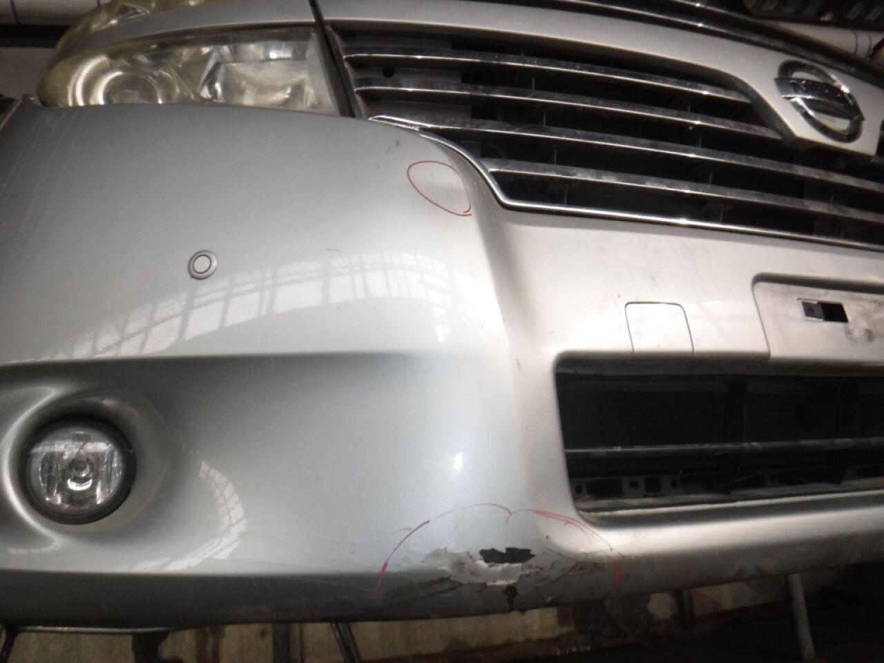 Nose cut NISSAN ELGRAND TE52 QR25DE 100-23008 3 ракурс