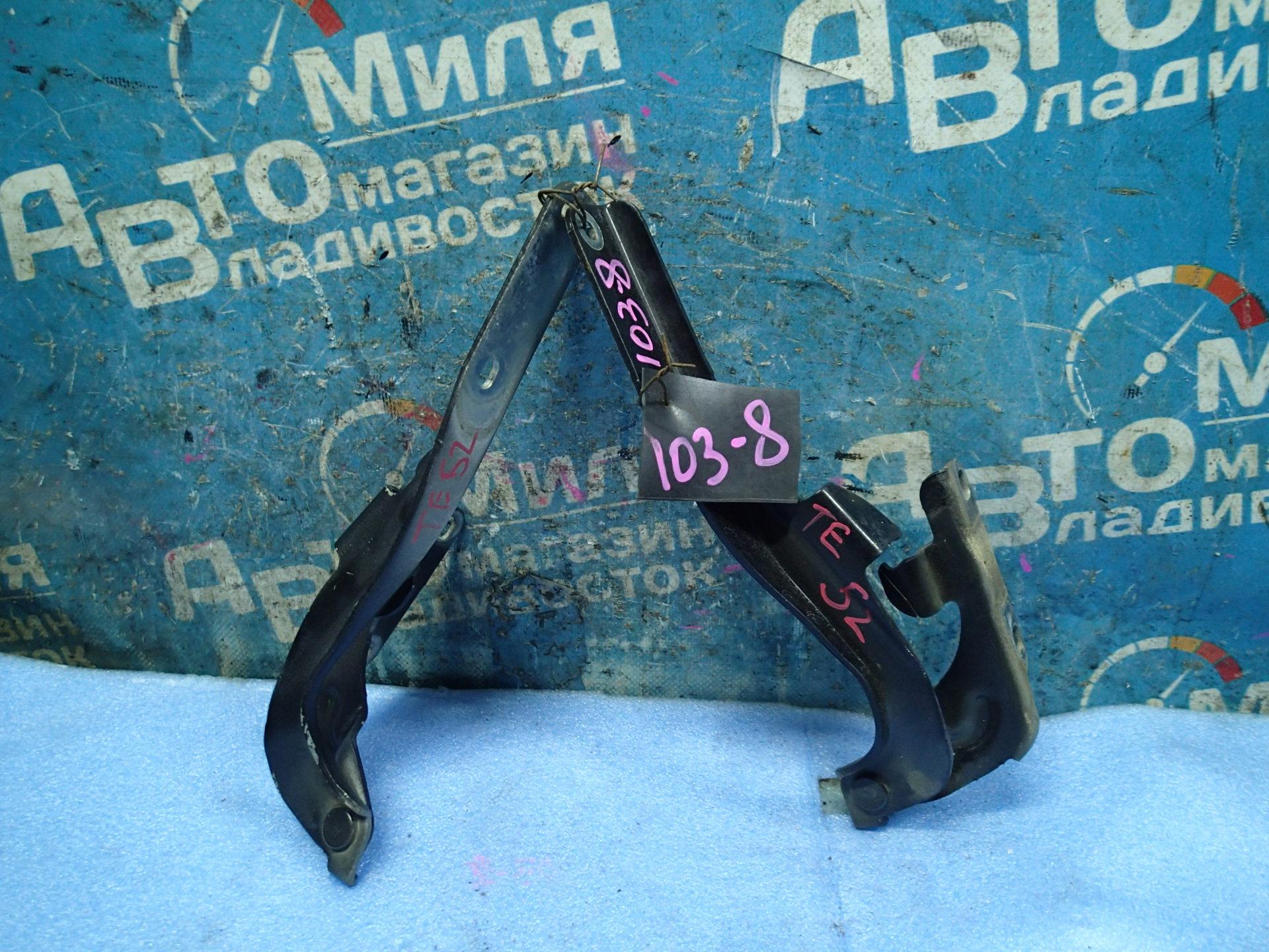 Петля капота NISSAN ELGRAND TE52, PE52, PNE52, TNE52 1 ракурс