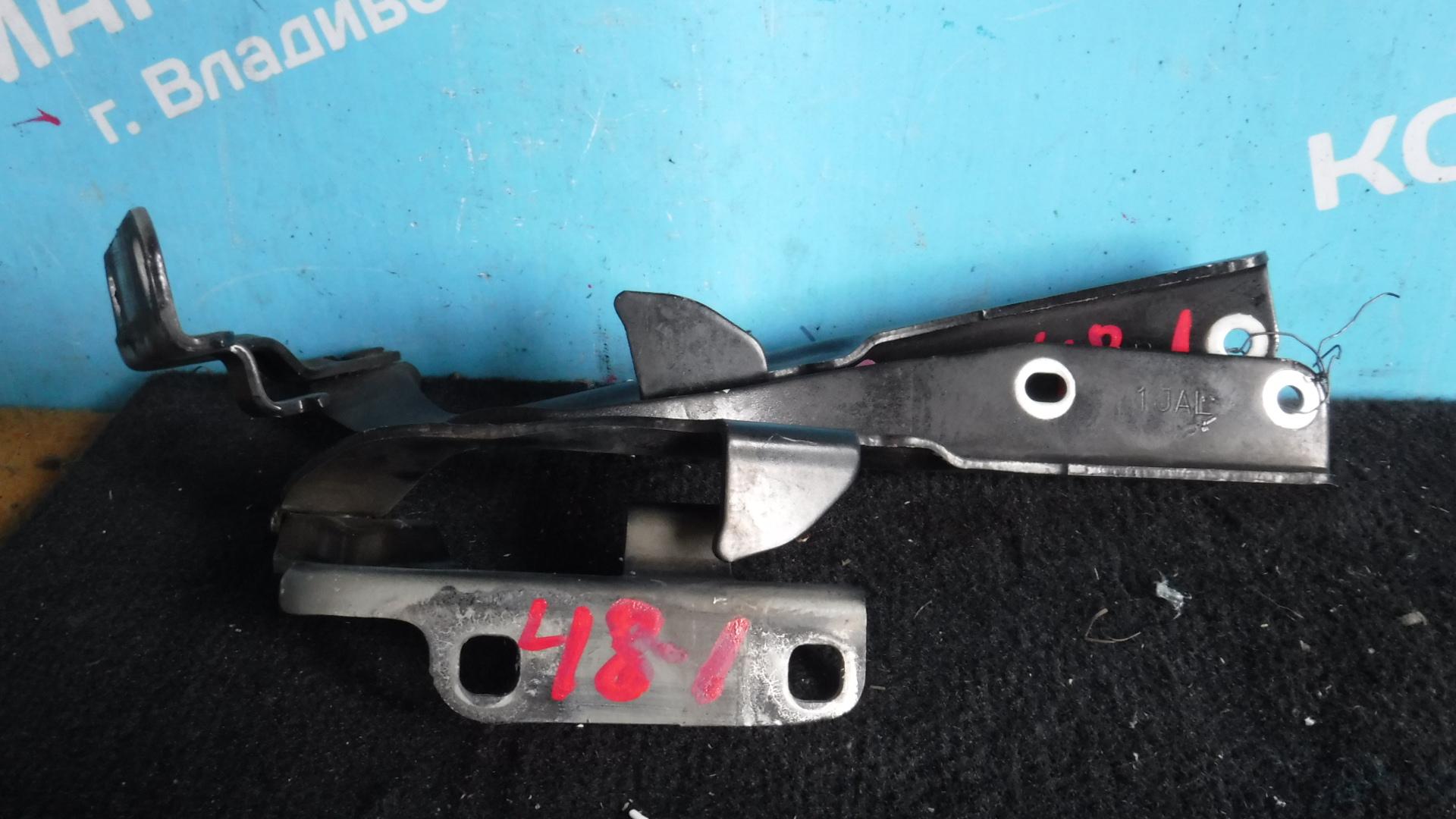 Петля капота NISSAN ELGRAND TE52, PE52, PNE52, TNE52 COLOR GAE 1 ракурс