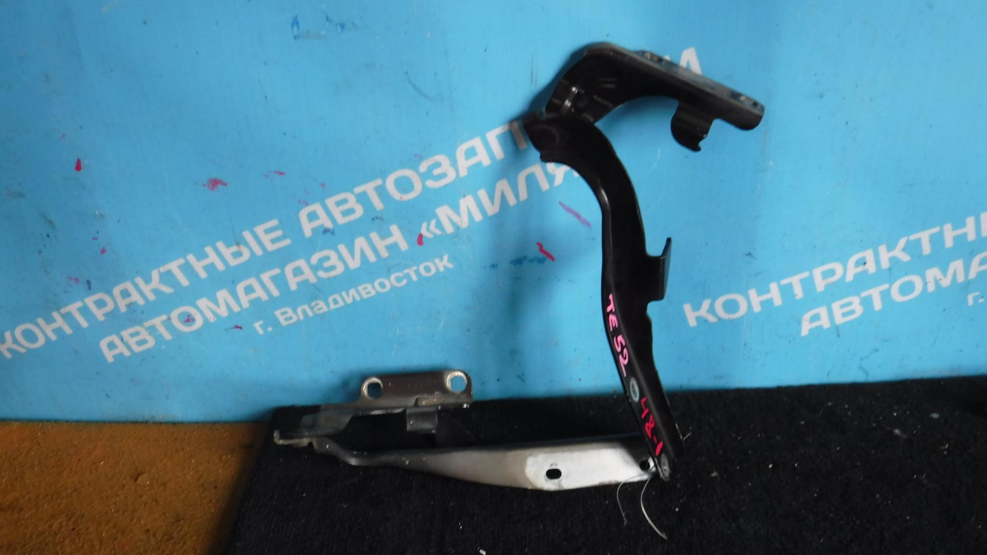 Петля капота NISSAN ELGRAND TE52, PE52, PNE52, TNE52 COLOR GAE 2 ракурс