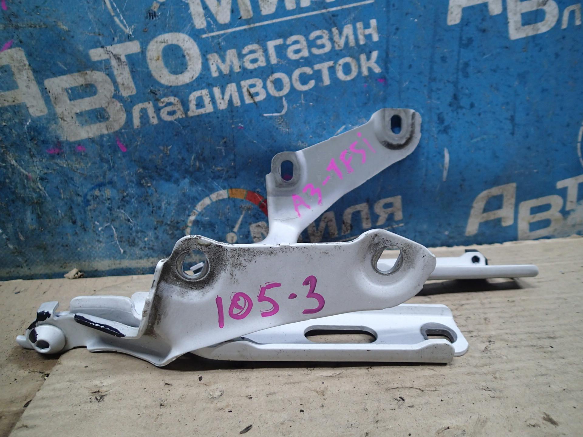 Петля капота AUDI A3 8V1 <> 8V0823301 1 ракурс