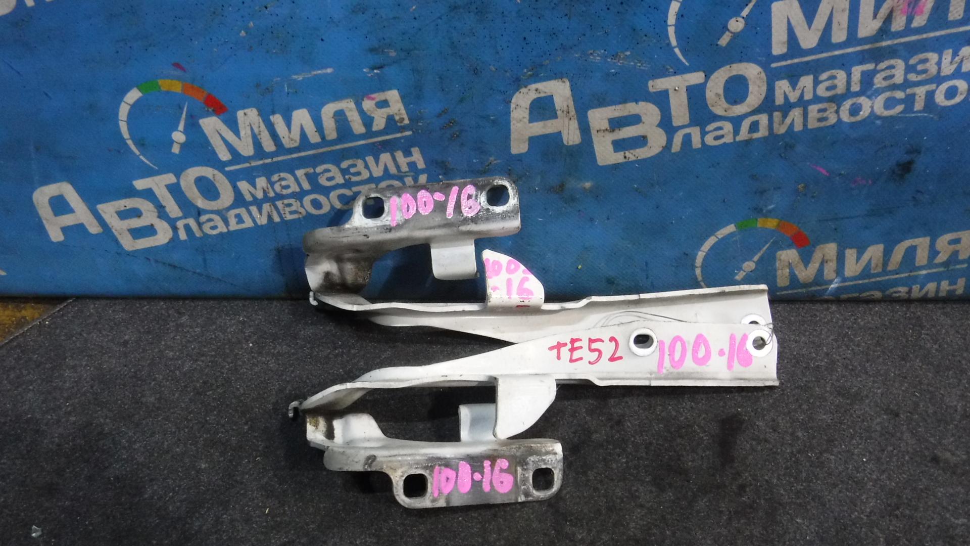 Петля капота NISSAN ELGRAND TE52, PE52, PNE52, TNE52 1 ракурс