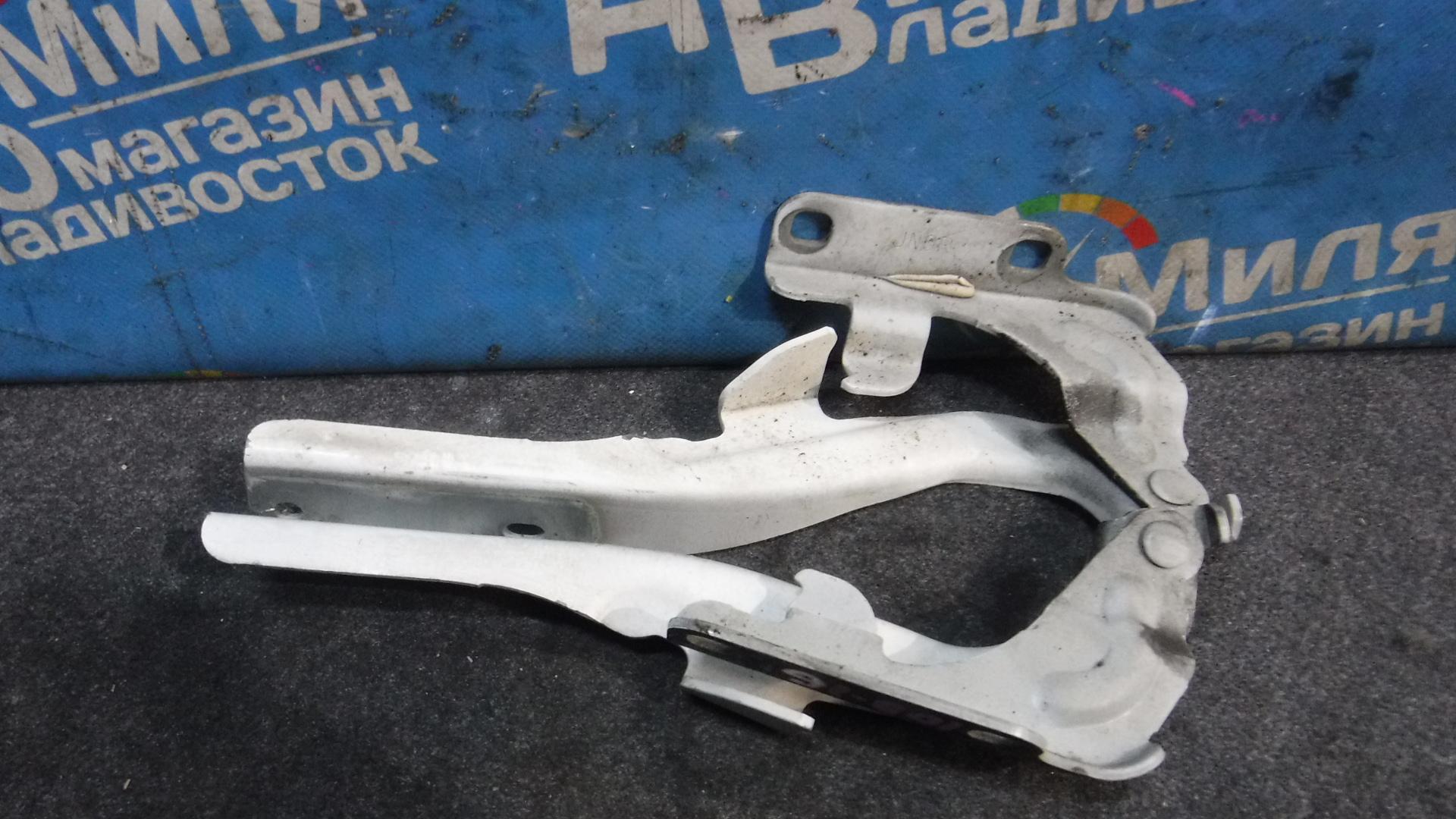 Петля капота NISSAN ELGRAND TE52, PE52, PNE52, TNE52 2 ракурс