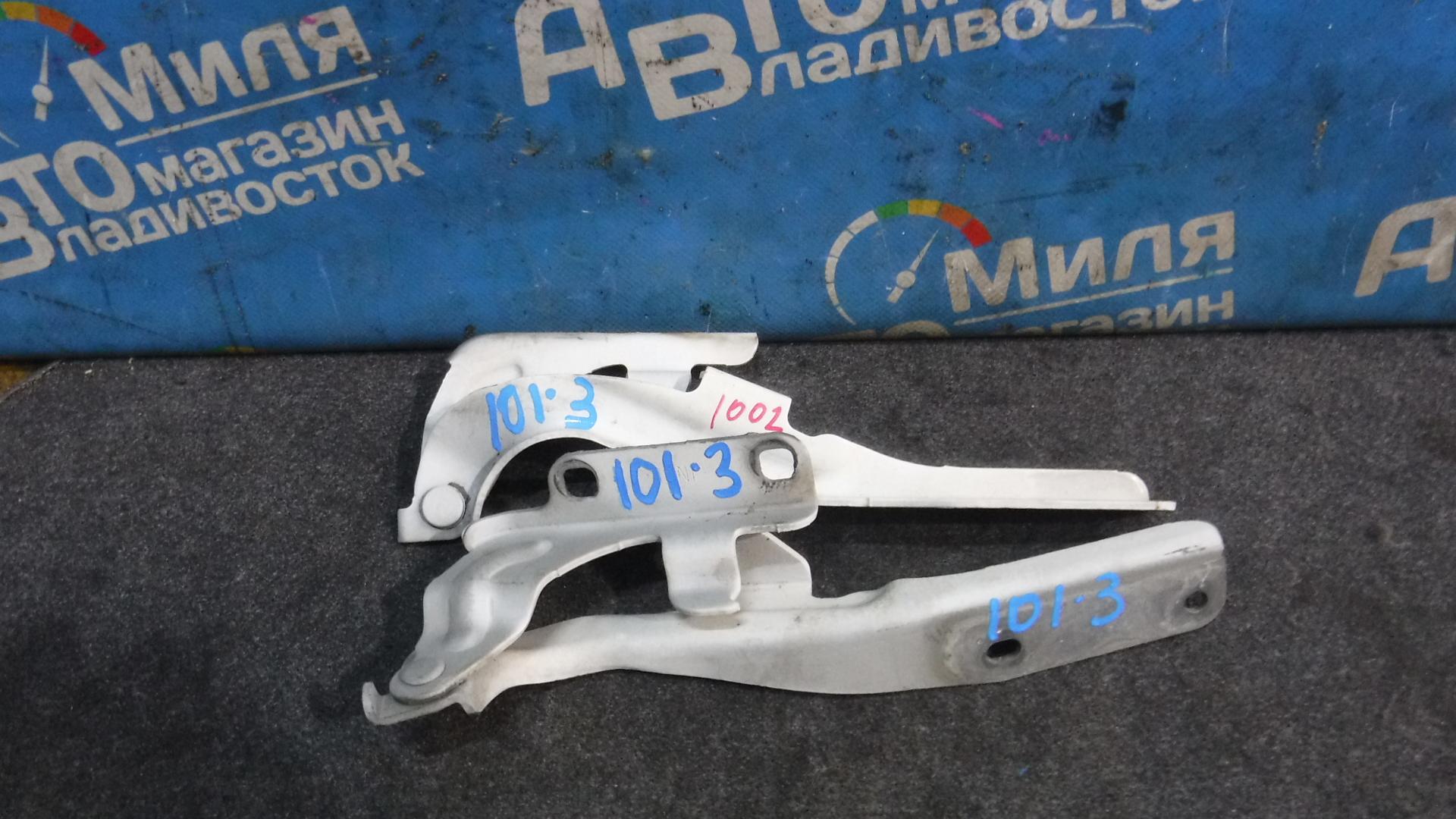 Петля капота NISSAN ELGRAND TE52, PE52, PNE52, TNE52 VQ35DE 1 ракурс