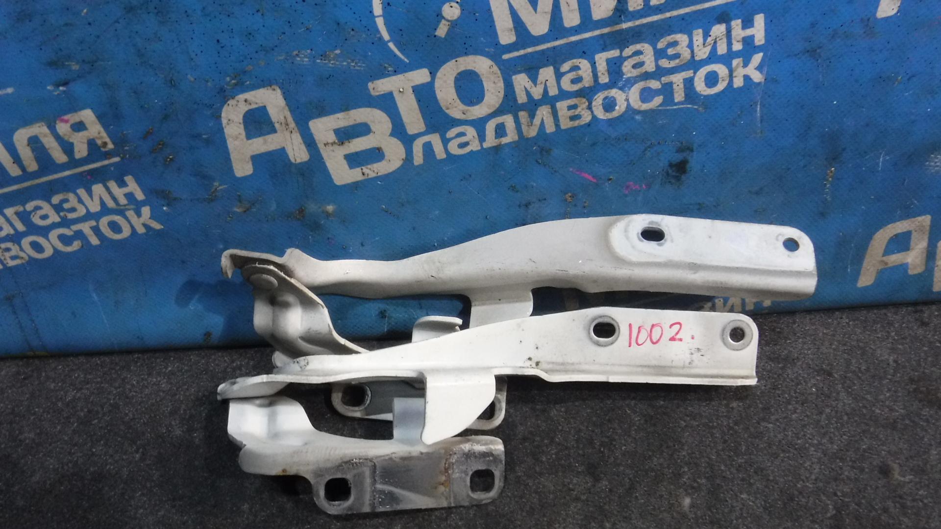 Петля капота NISSAN ELGRAND TE52, PE52, PNE52, TNE52 VQ35DE 2 ракурс