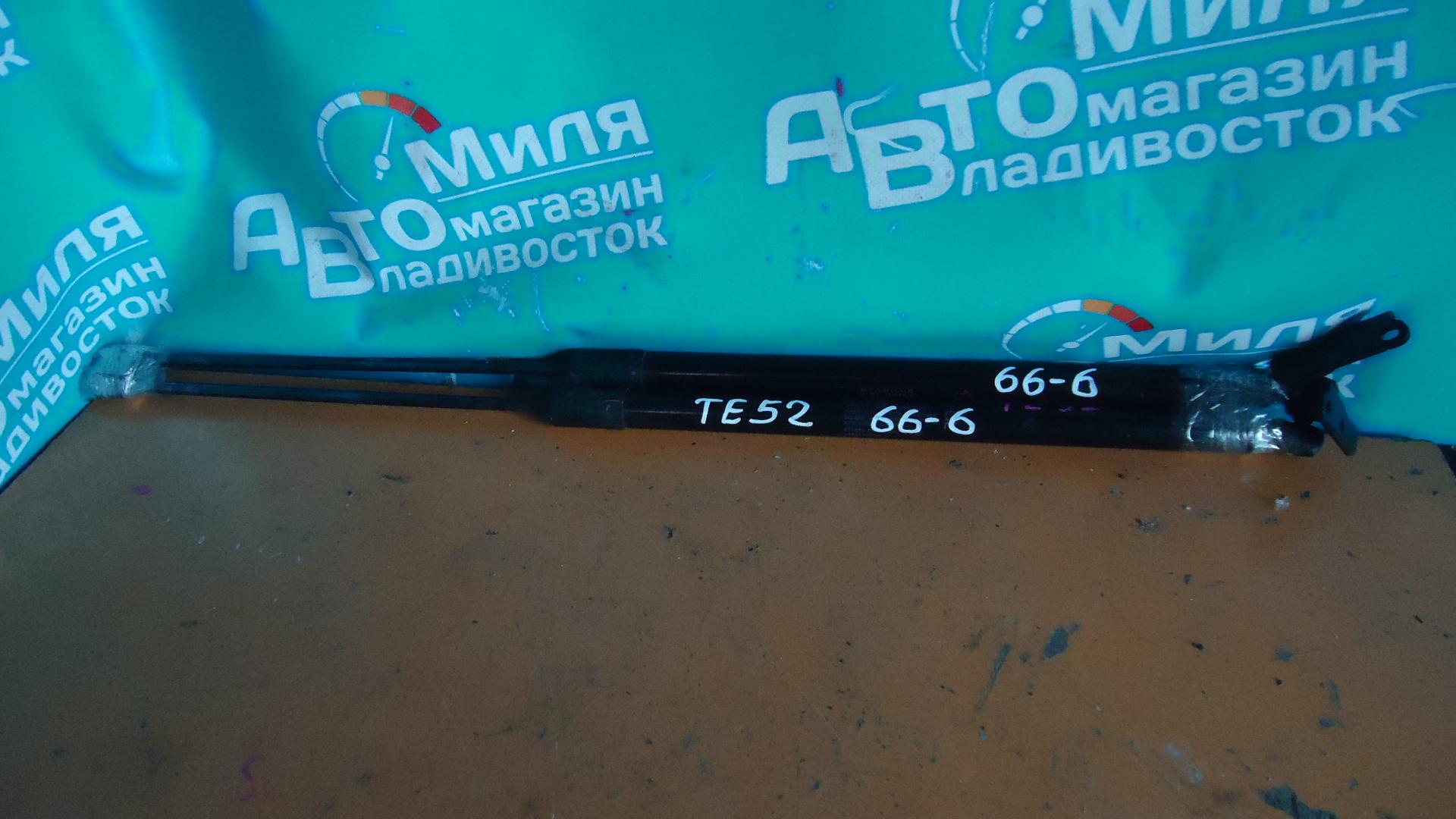 Амортизатор задней двери NISSAN ELGRAND TE52, PE52, PNE52, TNE52 1 ракурс