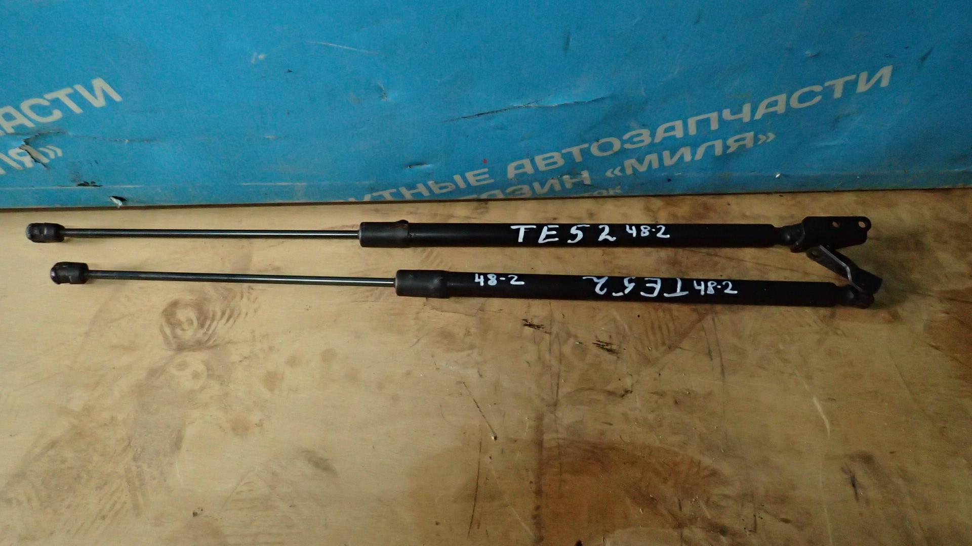 Амортизатор задней двери NISSAN ELGRAND TE52, PE52, PNE52, TNE52 1 ракурс