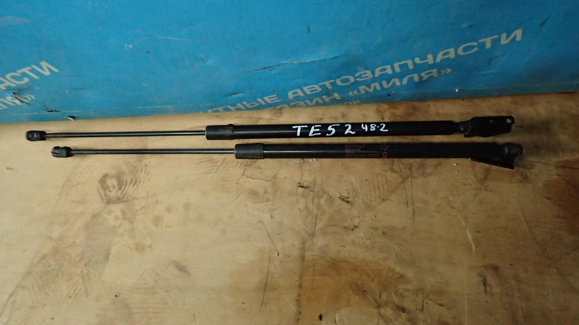 Амортизатор задней двери NISSAN ELGRAND TE52, PE52, PNE52, TNE52 2 ракурс