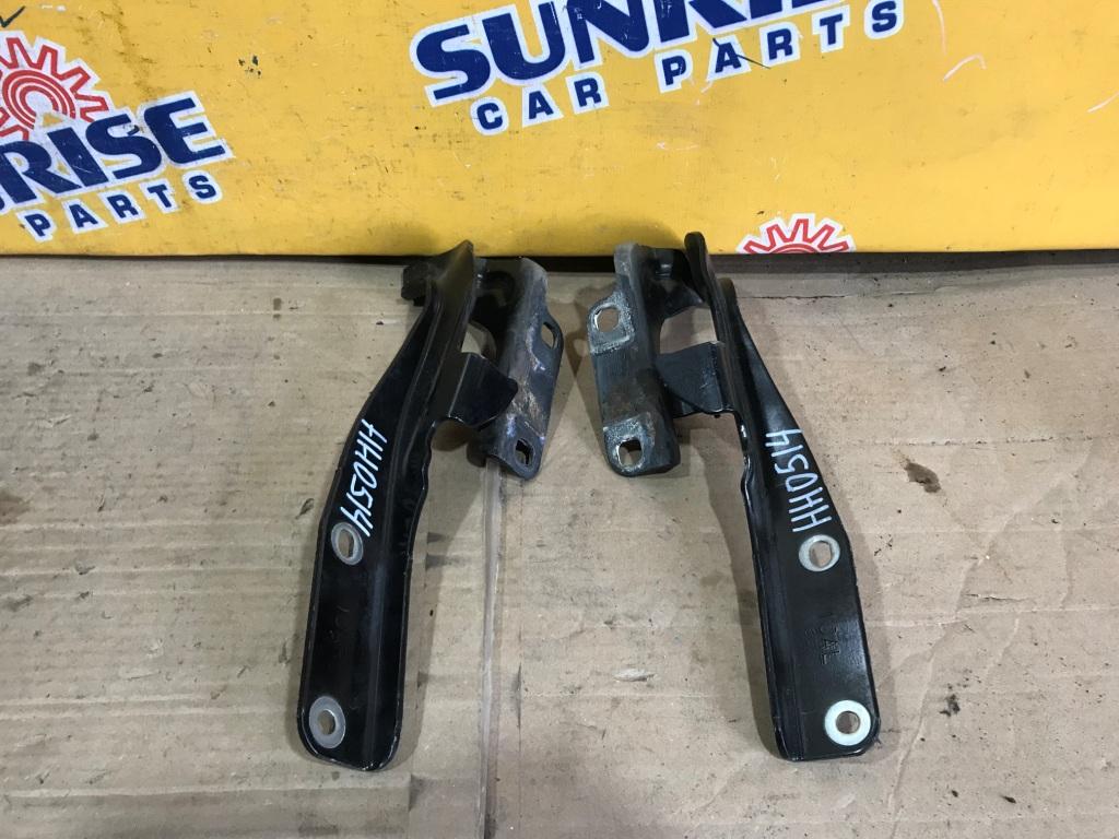 Петля капота NISSAN ELGRAND TE52 1 ракурс